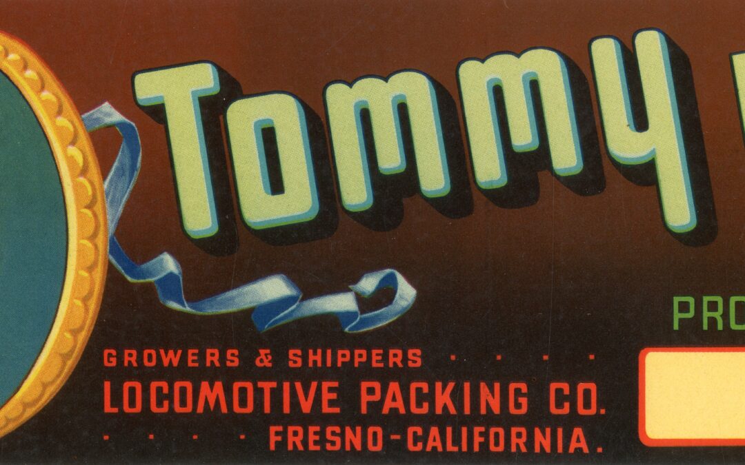 Tommy Boy-2