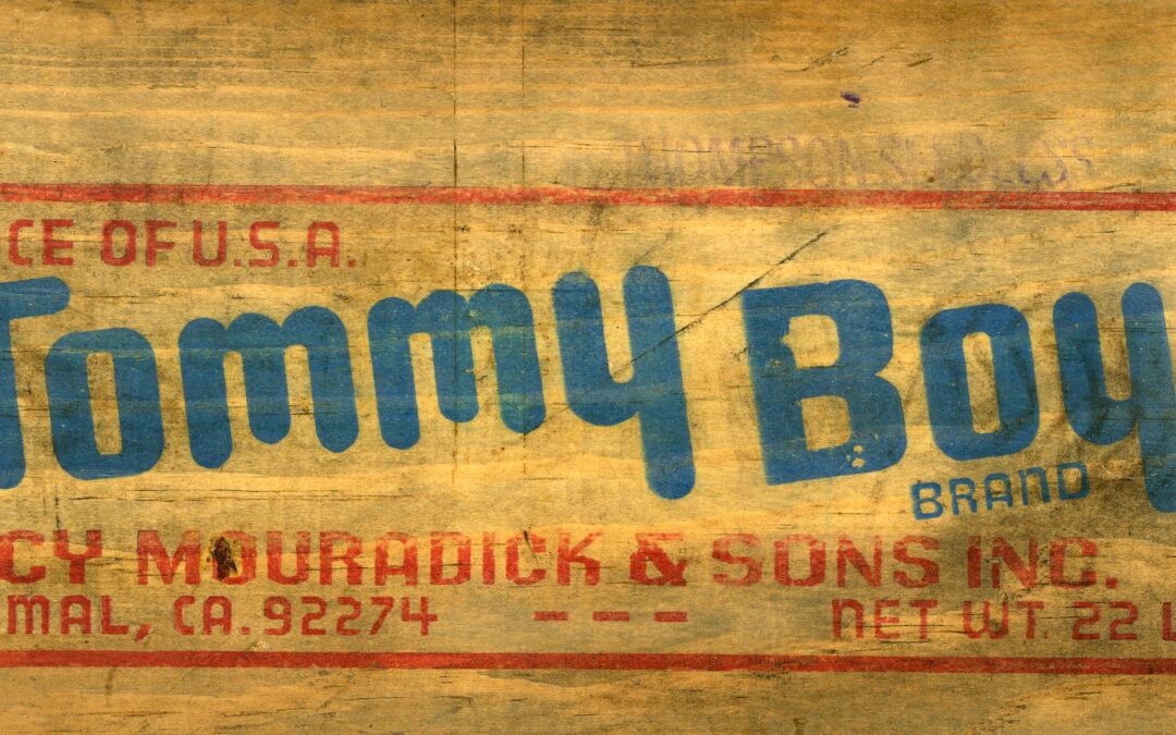 Tommy Boy-3