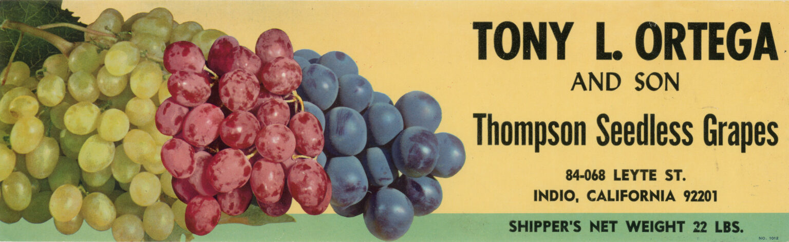 Tony L. Ortega and Son