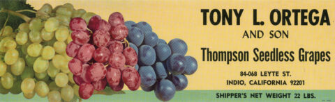 Tony L. Ortega and Son