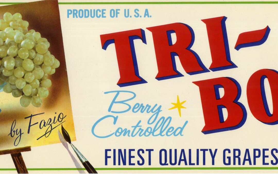 Tri-Boro-3