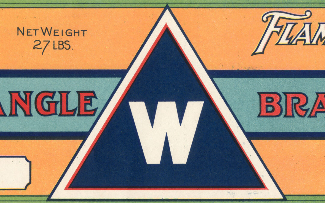Triangle W