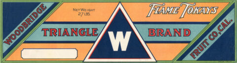 Triangle W