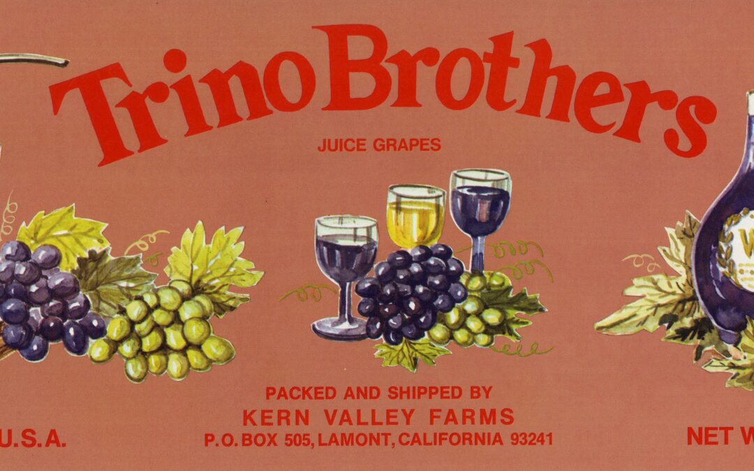 Trino Brothers