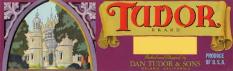Tudor-1