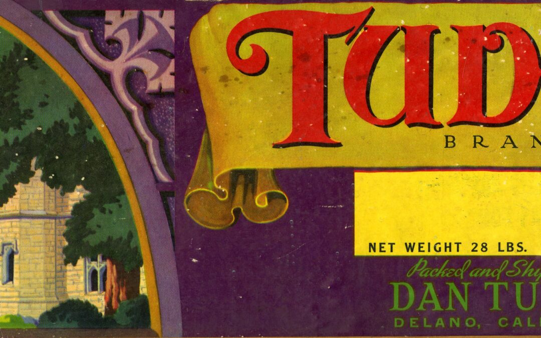 Tudor-2