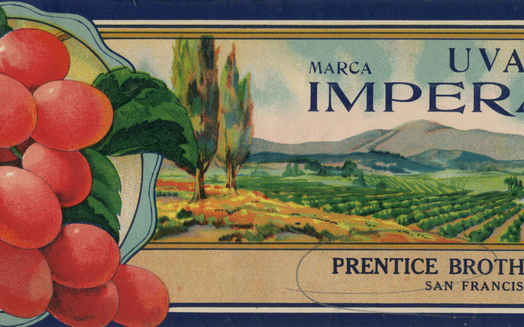 Uvas Imperator