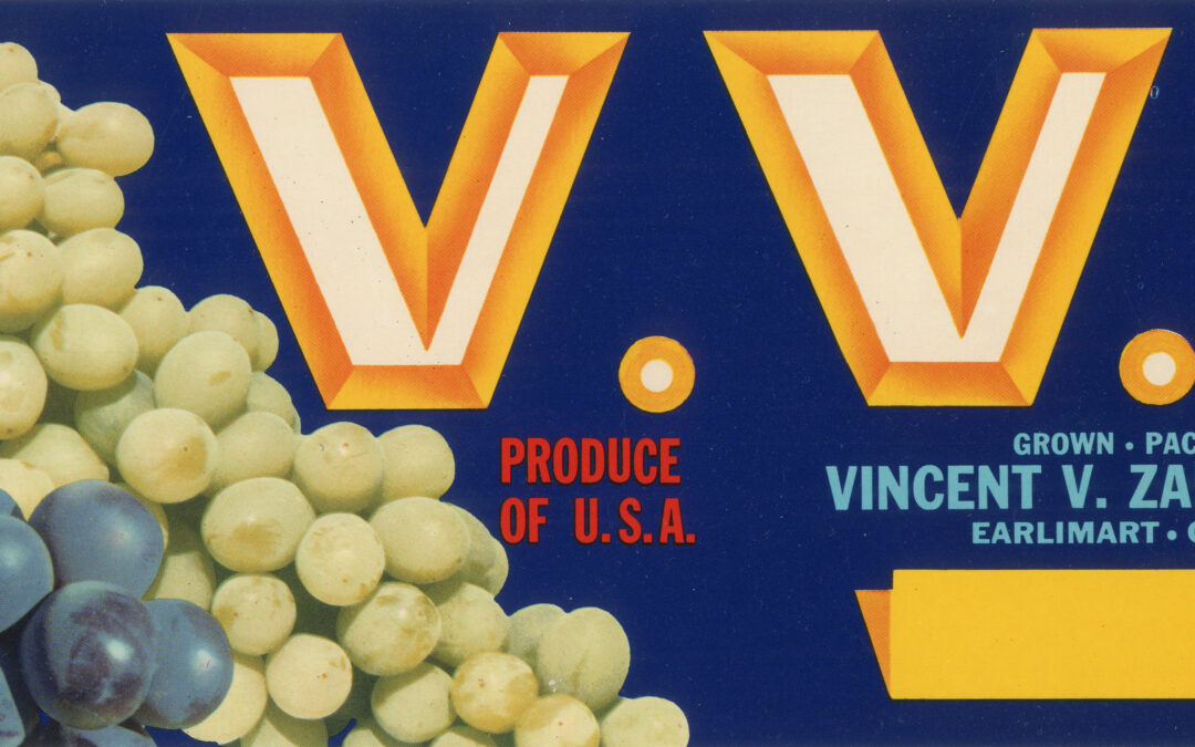 V. V. Z