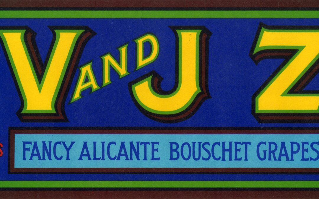 V and J Z