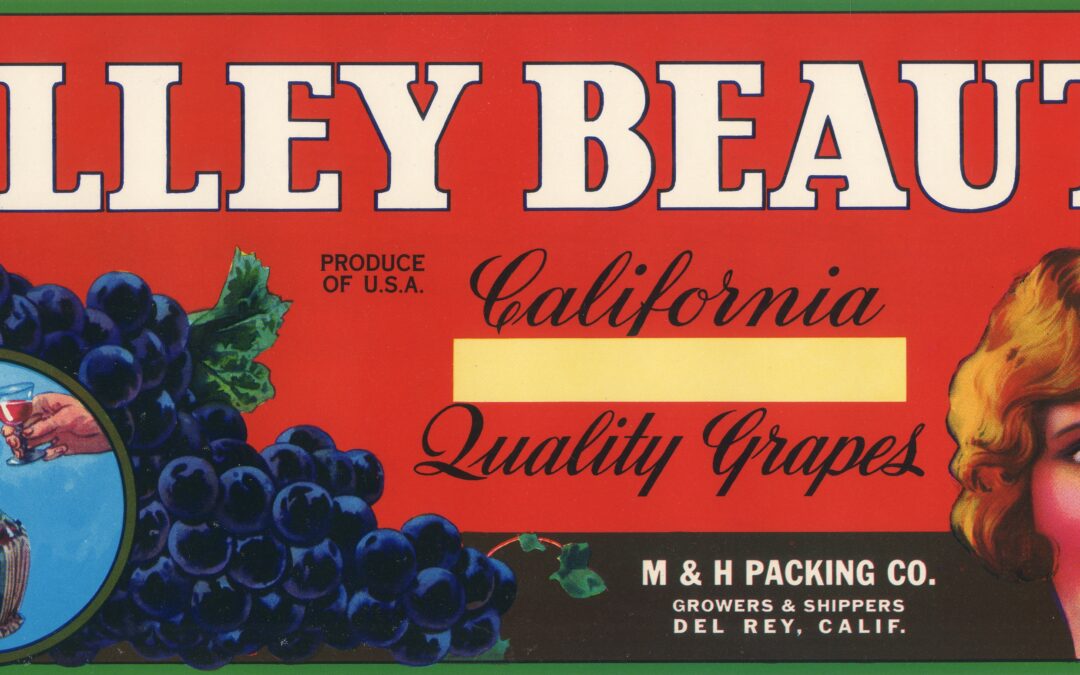 Valley Beauty-3