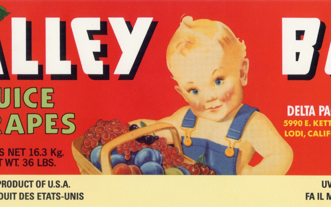 Valley Boy-1