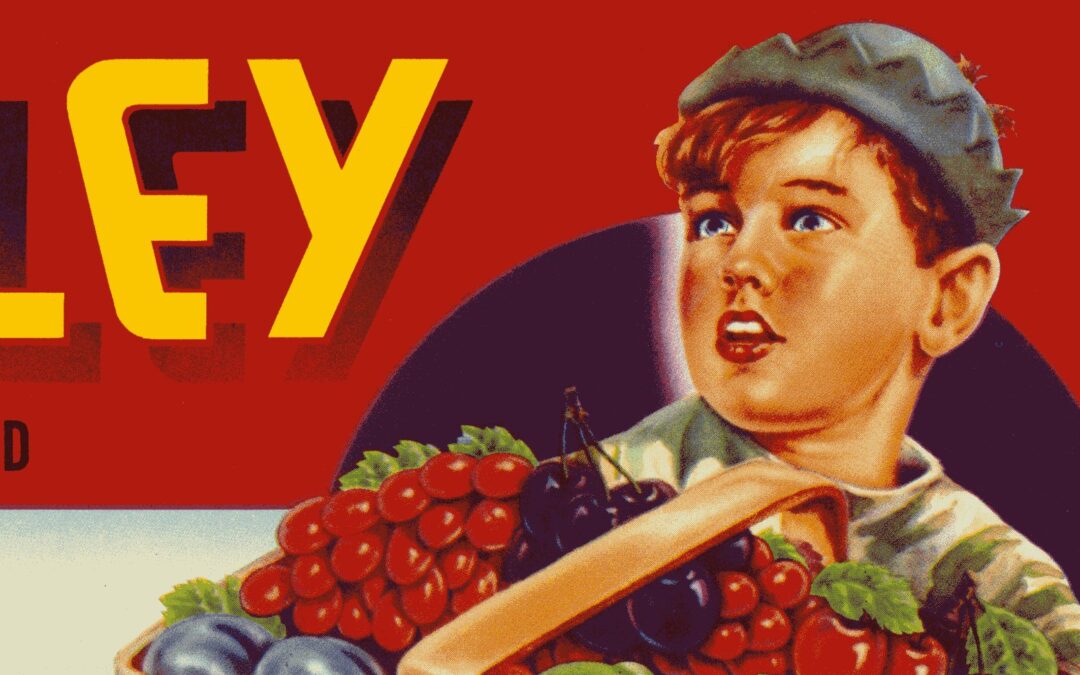 Valley Boy-2