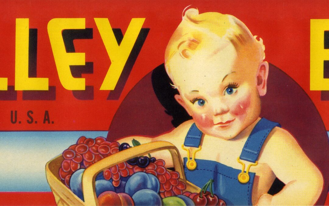 Valley Boy-3