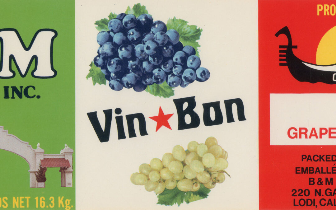 Vin Bon