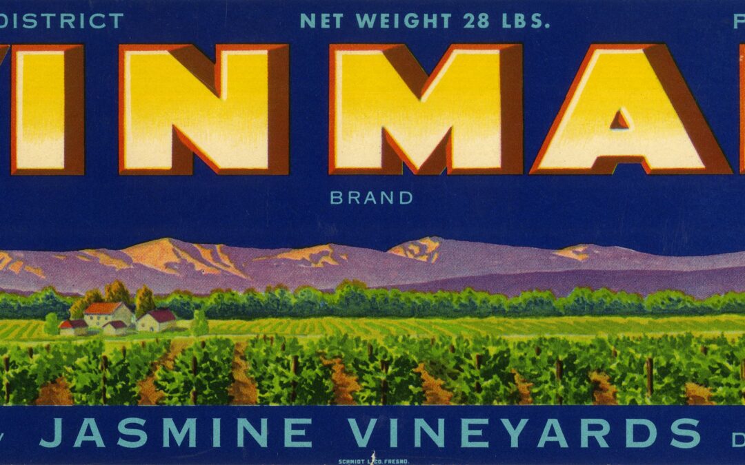 Vinmar-1
