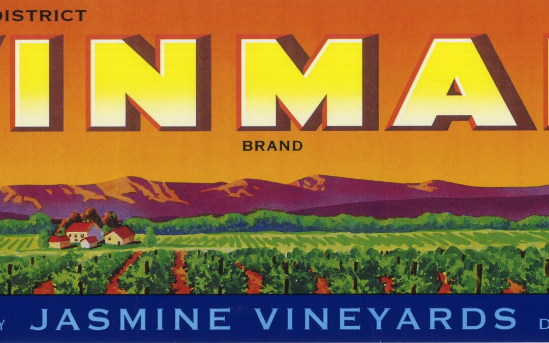 Vinmar-2