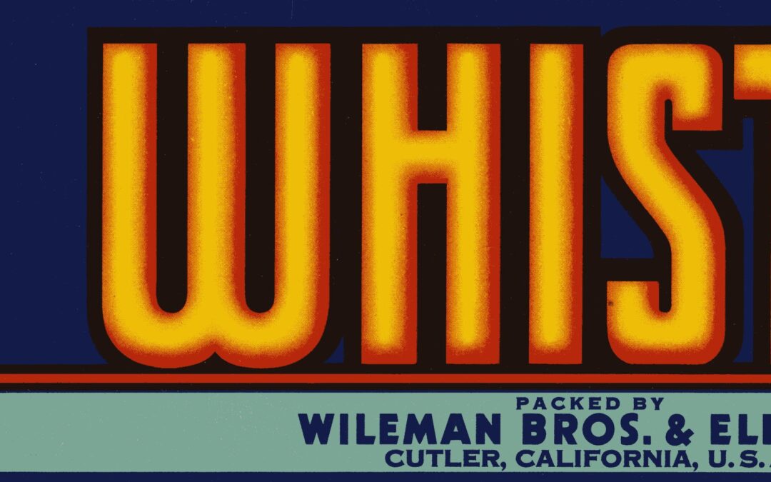 Whistle-1