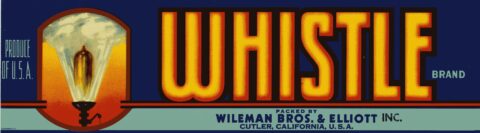 Whistle