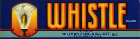 Whistle