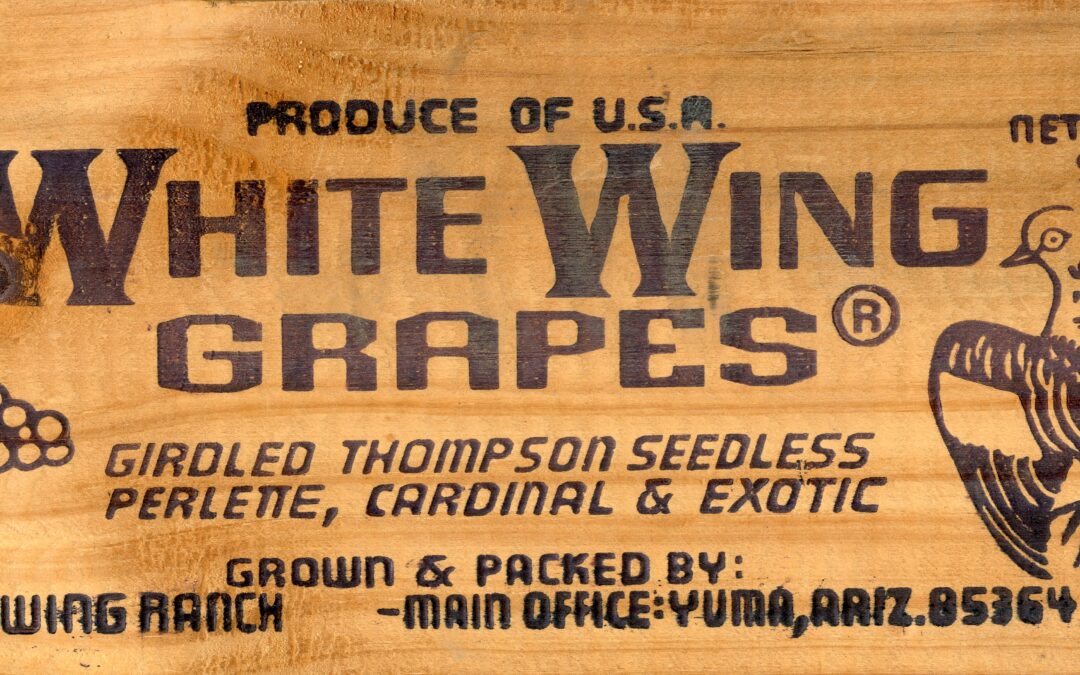 White Wing Grapes-1
