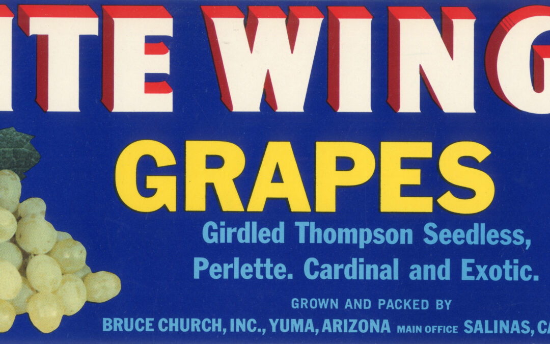 White Wing Grapes-2