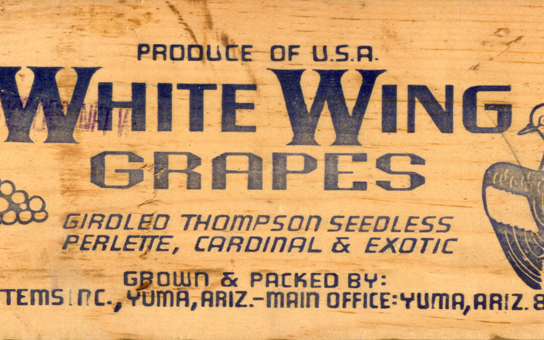 White Wing Grapes-3