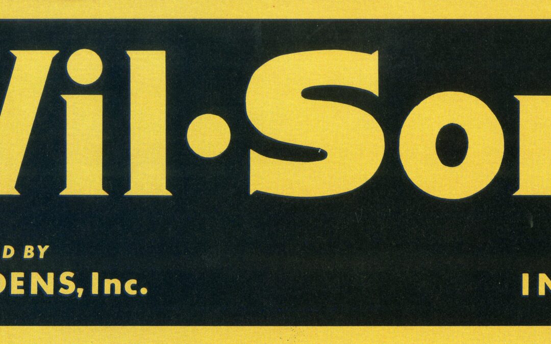 Wil-Son’s