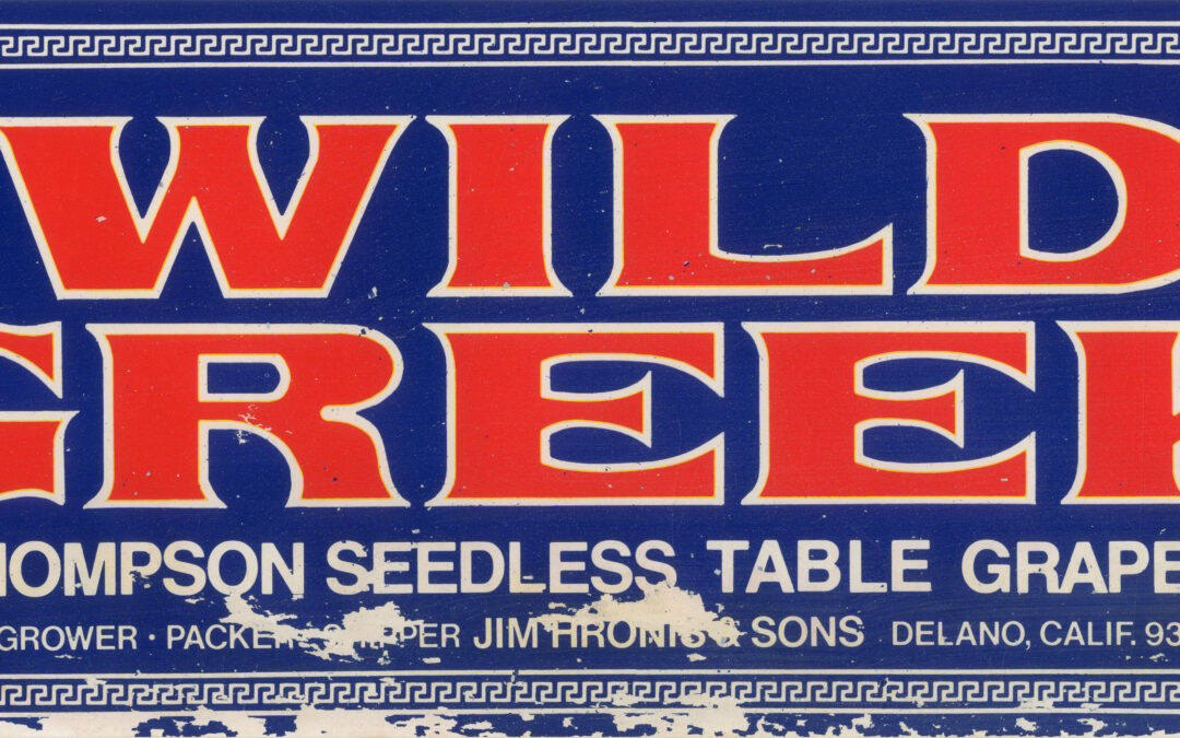 Wild Greek-3
